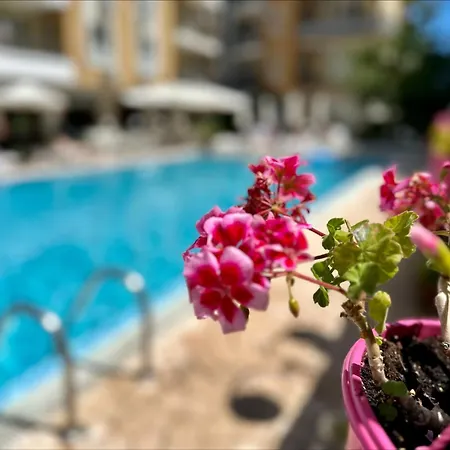 Blue Marine - Menada Napospart